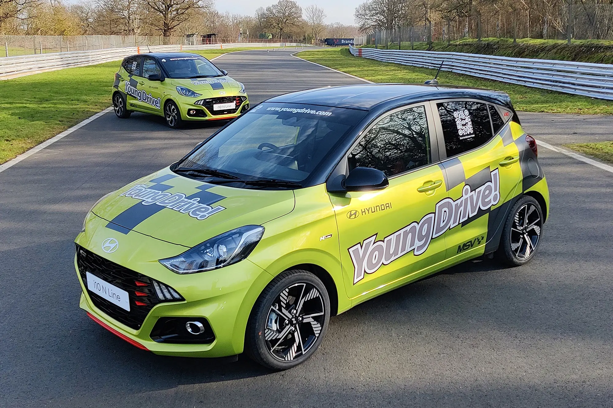 Focus Image: Young<em>Drive!</em> Plus