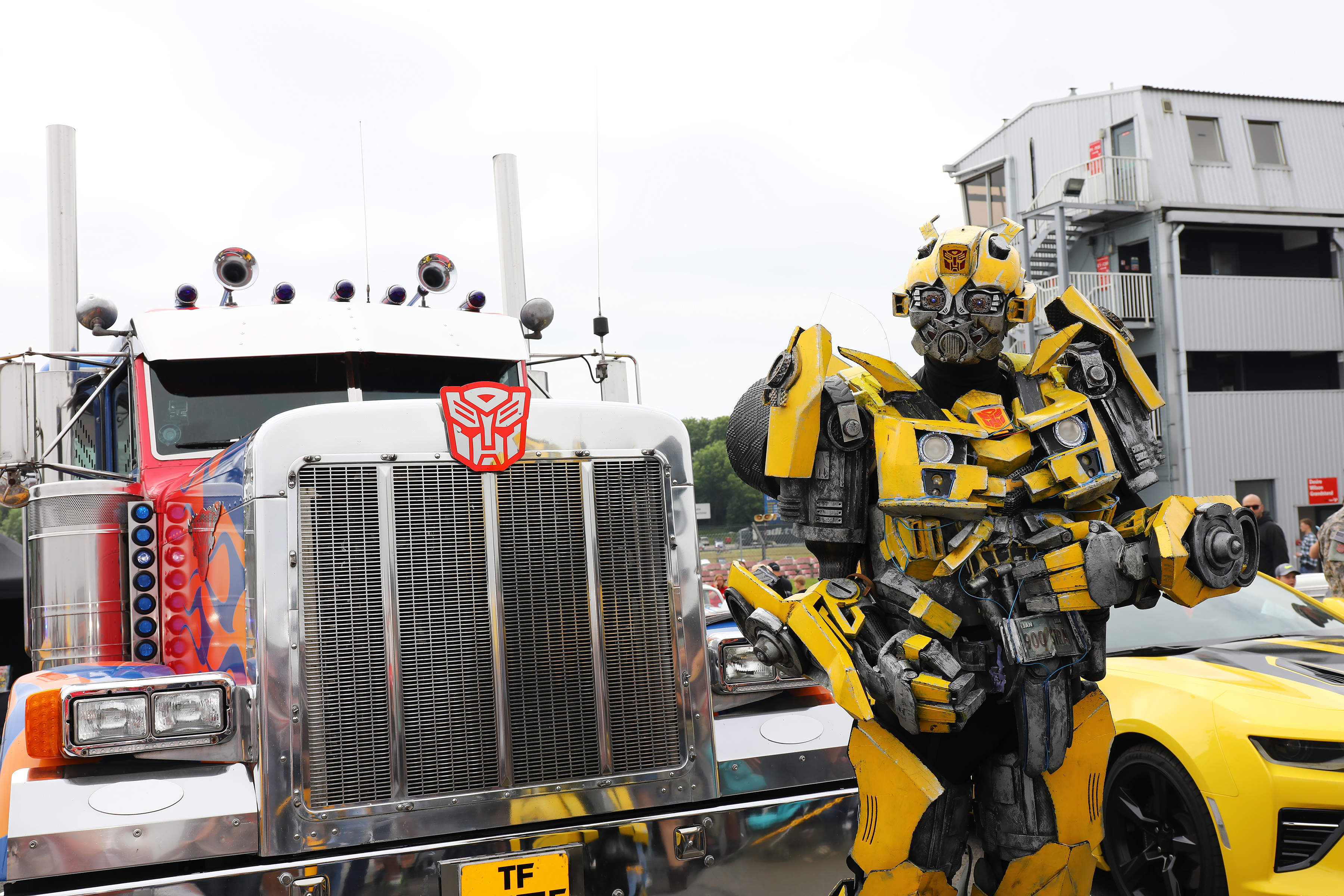 =Bumblebee - Meet & Greet