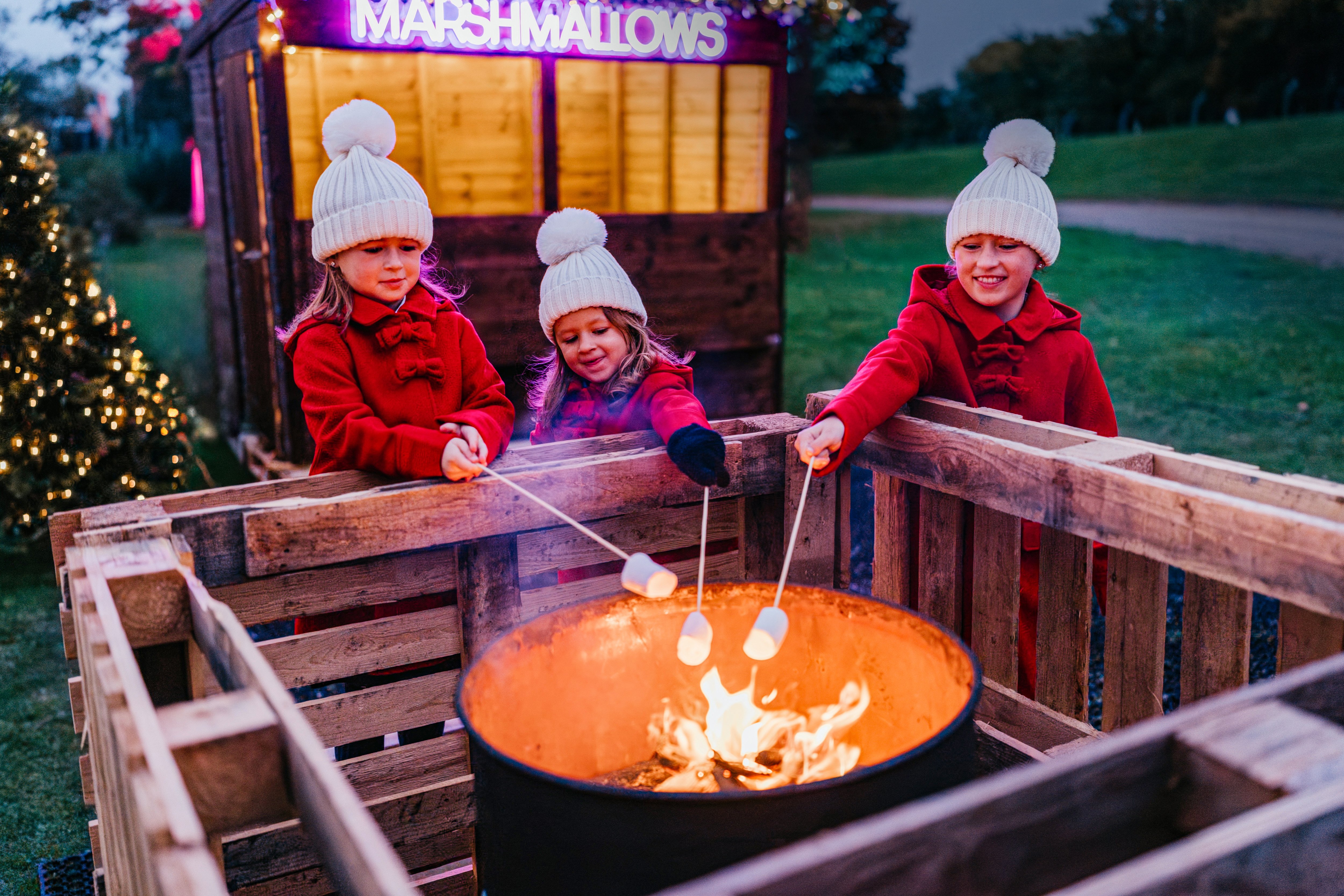 Marshmallow Toasting =Marshmallow Toasting