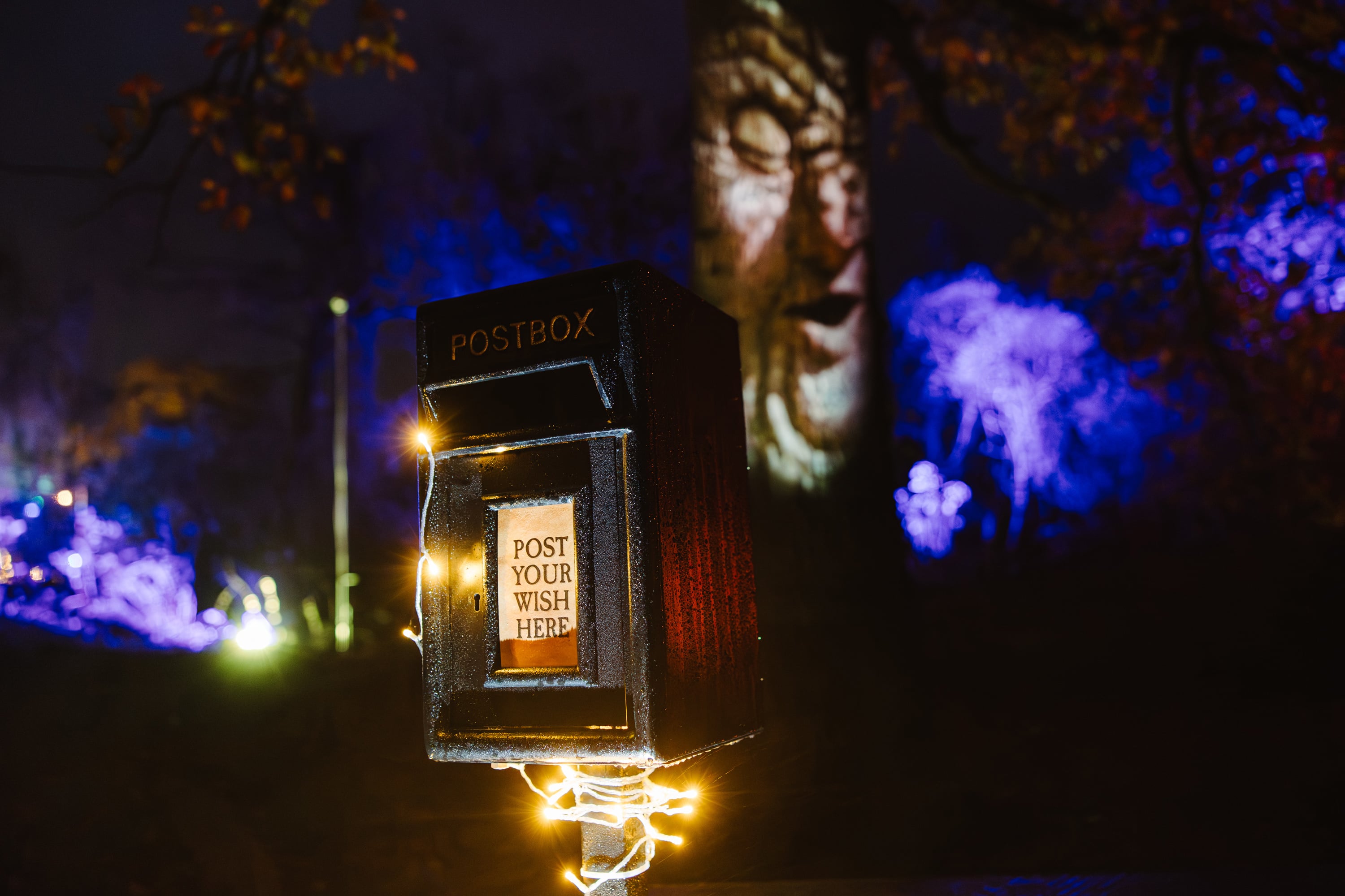 =Enchanted Elderwood